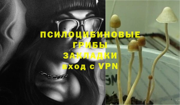 ГАЛЛЮЦИНОГЕННЫЕ ГРИБЫ Гусиноозёрск