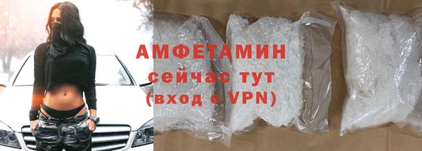 хмурый Гусь-Хрустальный