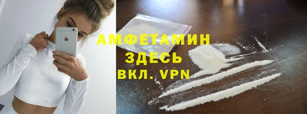 хмурый Гусь-Хрустальный