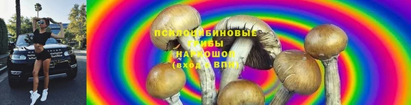 хмурый Гусь-Хрустальный