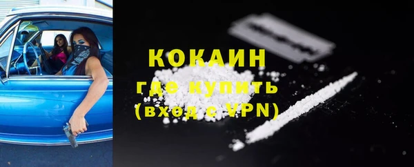 хмурый Гусь-Хрустальный