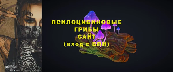 mdpv Гусев