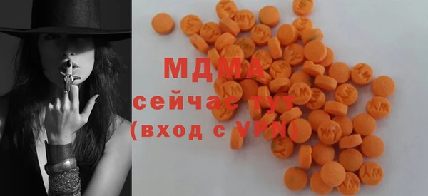 хмурый Гусь-Хрустальный