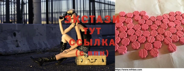 хмурый Гусь-Хрустальный