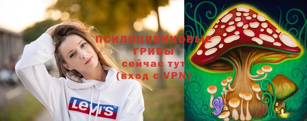 mdpv Гусев