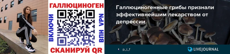 Галлюциногенные грибы Psilocybine cubensis  купить закладку  Долгопрудный 
